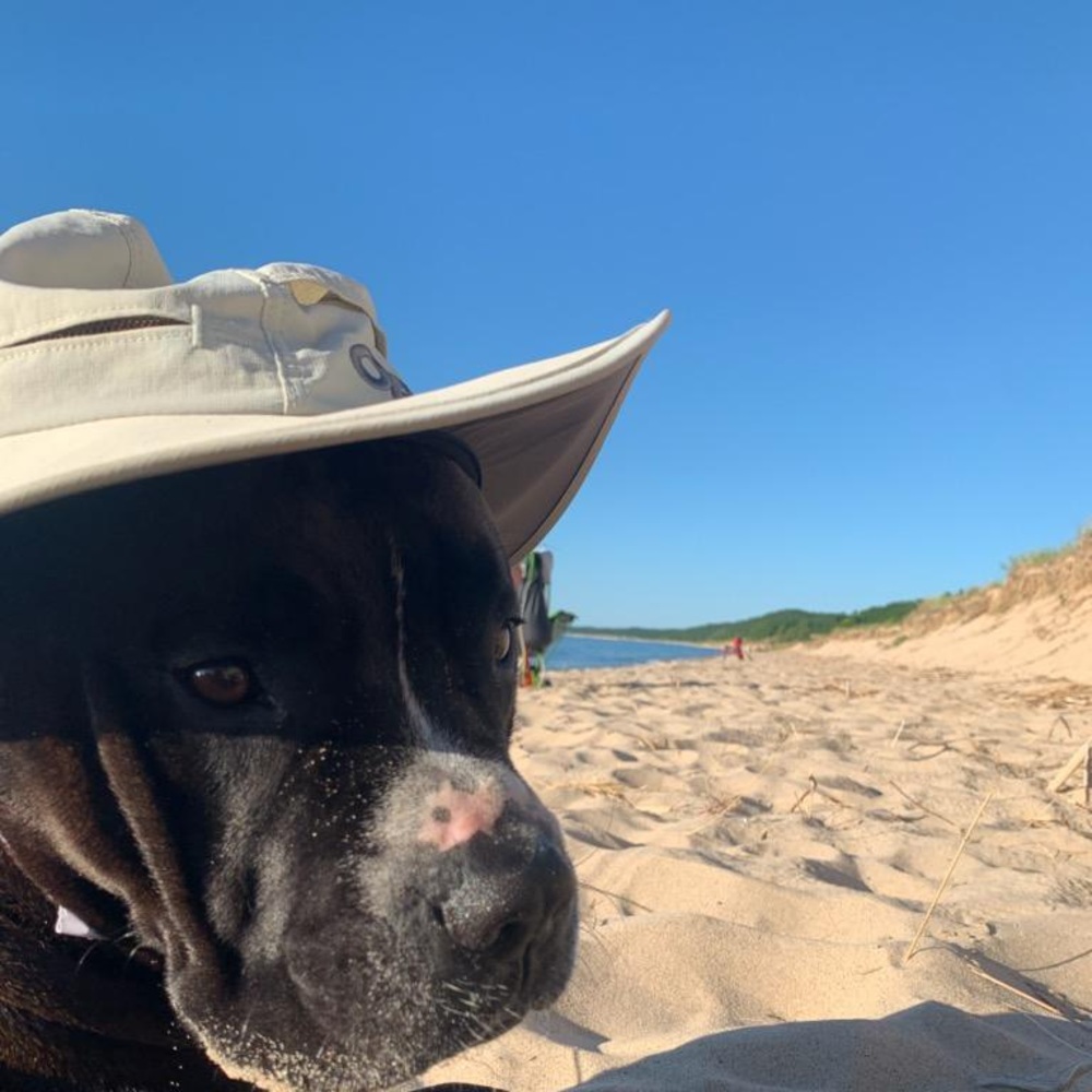 Meet your Posher, Gage